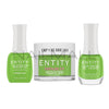 Entity	Summer 2024	Trio Set	Lost in the View	Lavished in Lime	"095"