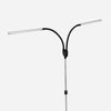 Daylight Gemini Floor Lamp (Portable)