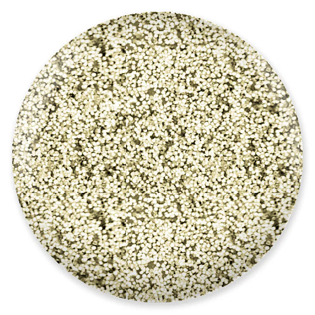 Costal Matching Dip Powder 2 oz. - 423 Glitter For You