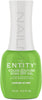 Entity	Summer 2024	Gel Polish	Lost in the View	Lavished in Lime	51011095