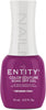 Entity	Summer 2024	Gel Polish	Lost in the View	Members Only	51011097